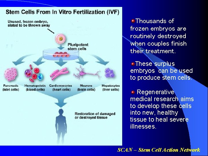 Thousands of frozen embryos are routinely destroyed when couples finish their treatment. These surplus