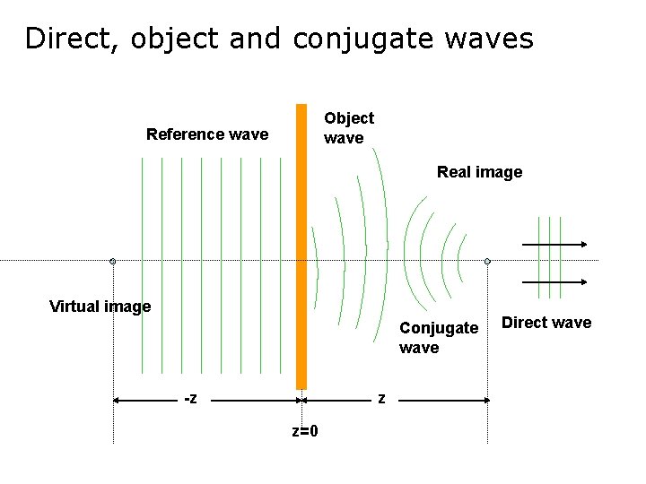 Direct, object and conjugate waves Object wave Reference wave Real image Virtual image Conjugate