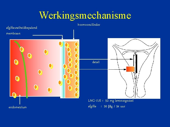 Werkingsmechanisme afgiftesnelheidbepalend membraan hormooncilinder detail endometrium LNG-IUS : 52 mg levonorgestrel afgifte : 20