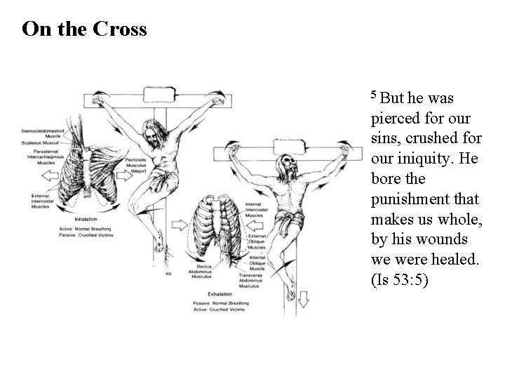 On the Cross 5 But he was pierced for our sins, crushed for our