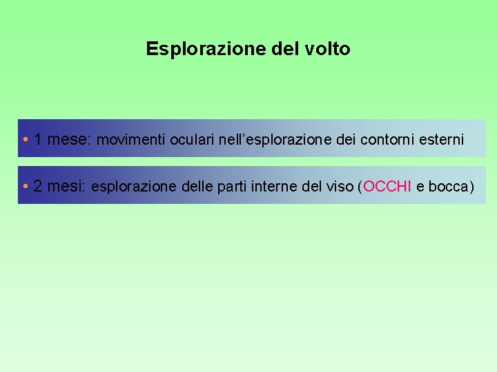 Esplorazione del volto • 1 mese: movimenti oculari nell’esplorazione dei contorni esterni • 2 Esplorazione del volto • 1 mese: movimenti oculari nell’esplorazione dei contorni esterni • 2