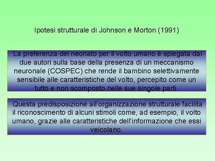 Ipotesi strutturale di Johnson e Morton (1991) La preferenza del neonato per il volto Ipotesi strutturale di Johnson e Morton (1991) La preferenza del neonato per il volto