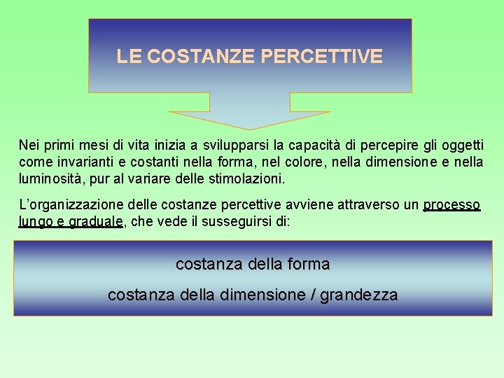 LE COSTANZE PERCETTIVE Nei primi mesi di vita inizia a svilupparsi la capacità di LE COSTANZE PERCETTIVE Nei primi mesi di vita inizia a svilupparsi la capacità di