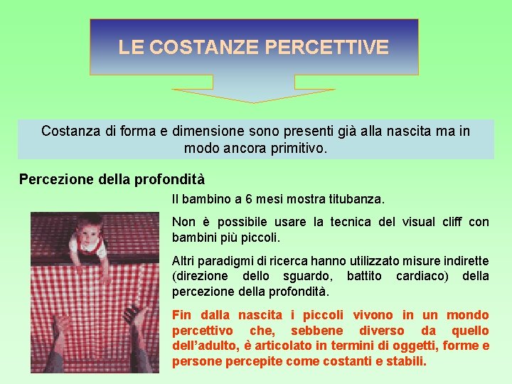 LE COSTANZE PERCETTIVE Costanza di forma e dimensione sono presenti già alla nascita ma LE COSTANZE PERCETTIVE Costanza di forma e dimensione sono presenti già alla nascita ma
