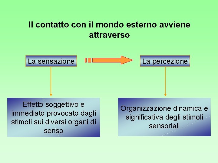 Il contatto con il mondo esterno avviene attraverso La sensazione Effetto soggettivo e immediato Il contatto con il mondo esterno avviene attraverso La sensazione Effetto soggettivo e immediato