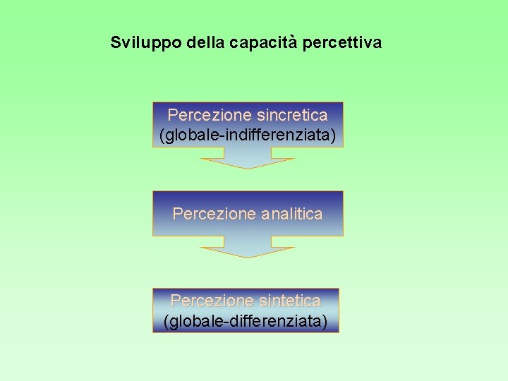 Sviluppo della capacità percettiva Percezione sincretica (globale-indifferenziata) Percezione analitica Percezione sintetica (globale-differenziata) Sviluppo della capacità percettiva Percezione sincretica (globale-indifferenziata) Percezione analitica Percezione sintetica (globale-differenziata)