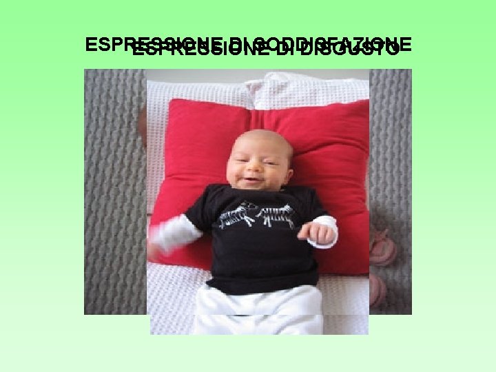ESPRESSIONE DI SODDISFAZIONE ESPRESSIONE DI DISGUSTO ESPRESSIONE DI SODDISFAZIONE ESPRESSIONE DI DISGUSTO
