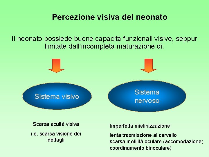 Percezione visiva del neonato Il neonato possiede buone capacità funzionali visive, seppur limitate dall’incompleta Percezione visiva del neonato Il neonato possiede buone capacità funzionali visive, seppur limitate dall’incompleta