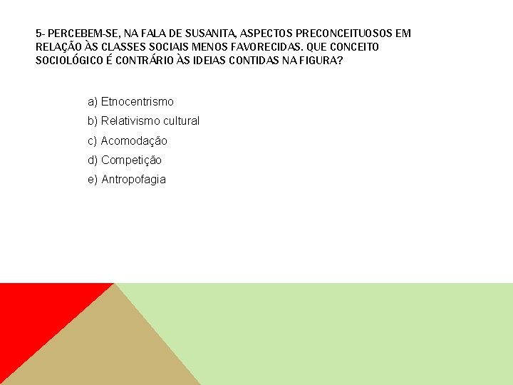 5 - PERCEBEM-SE, NA FALA DE SUSANITA, ASPECTOS PRECONCEITUOSOS EM RELAÇÃO ÀS CLASSES SOCIAIS