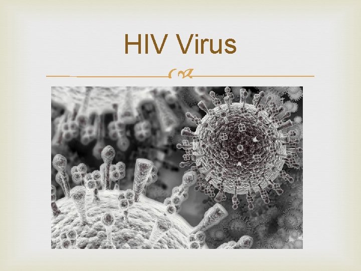 HIV Virus 