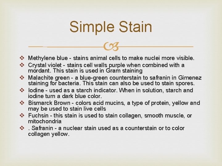 Simple Stain v Methylene blue - stains animal cells to make nuclei more visible.