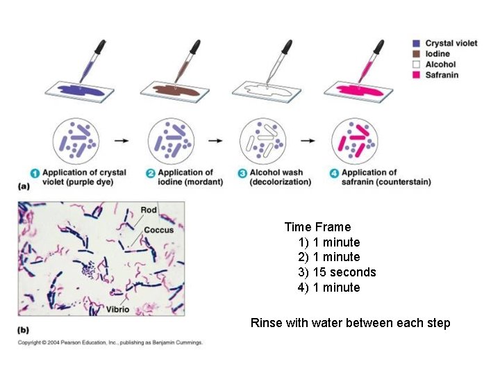 Time Frame 1) 1 minute 2) 1 minute 3) 15 seconds 4) 1 minute