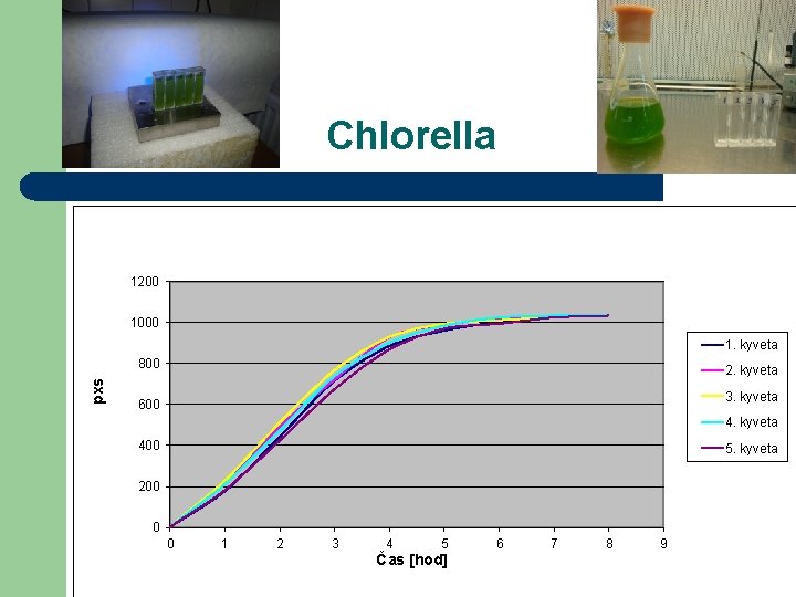 Chlorella 1200 1000 1. kyveta pxs 800 2. kyveta 3. kyveta 600 4. kyveta