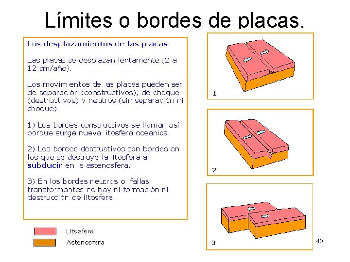 Límites o bordes de placas. 