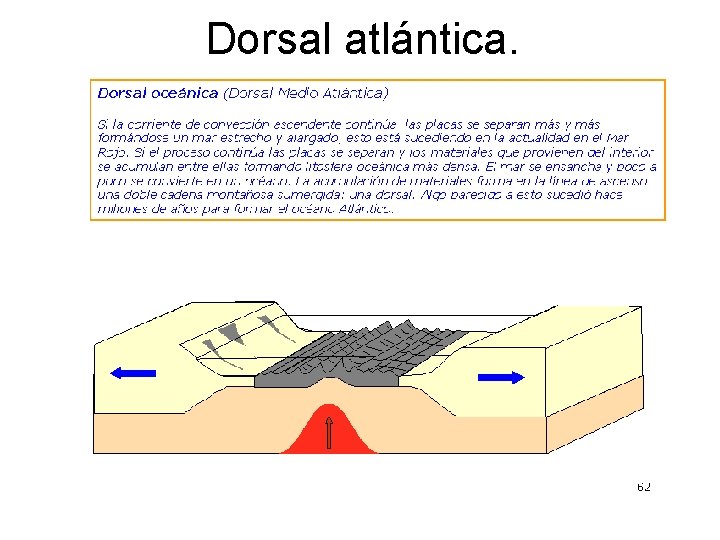 Dorsal atlántica. 