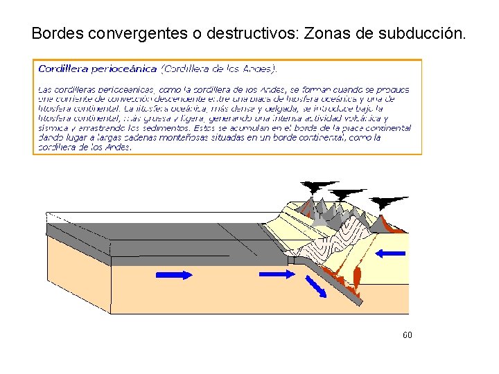 Bordes convergentes o destructivos: Zonas de subducción. 