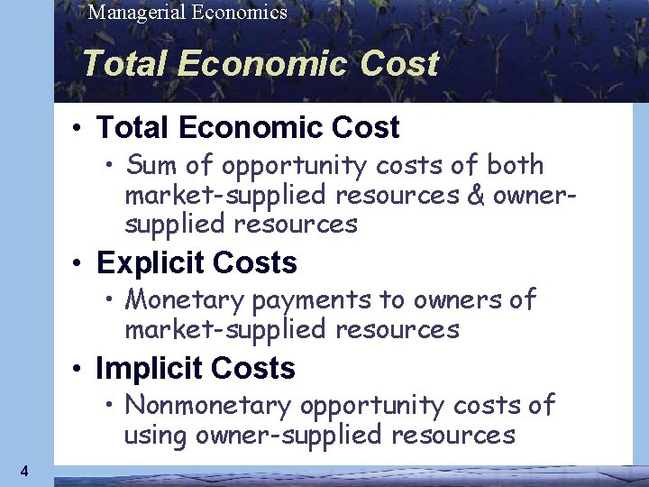 Managerial Economics Total Economic Cost • Total Economic Cost • Sum of opportunity costs