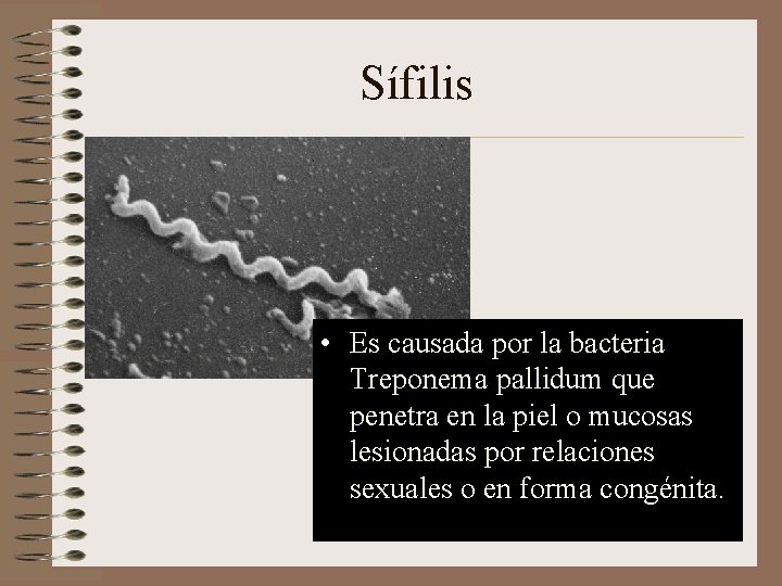 Sífilis • Es causada por la bacteria Treponema pallidum que penetra en la piel