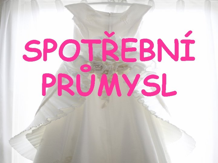 SPOTŘEBNÍ PRŮMYSL 