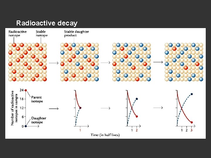 Radioactive decay Radioactive decay