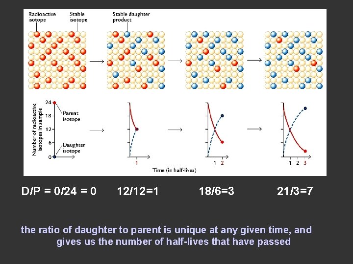 D/P = 0/24 = 0 12/12=1 18/6=3 21/3=7 the ratio of daughter to parent D/P = 0/24 = 0 12/12=1 18/6=3 21/3=7 the ratio of daughter to parent