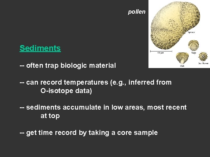 pollen Sediments -- often trap biologic material -- can record temperatures (e. g. , pollen Sediments -- often trap biologic material -- can record temperatures (e. g. ,