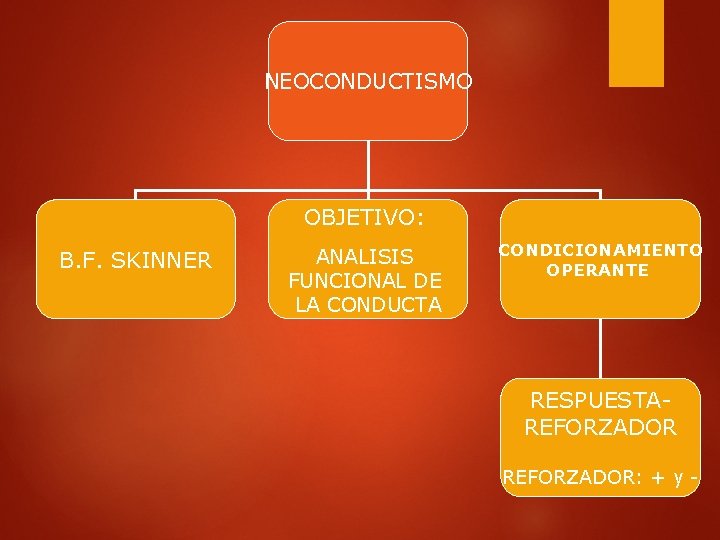 NEOCONDUCTISMO OBJETIVO: B. F. SKINNER ANALISIS FUNCIONAL DE LA CONDUCTA CONDICIONAMIENTO OPERANTE RESPUESTAREFORZADOR: +