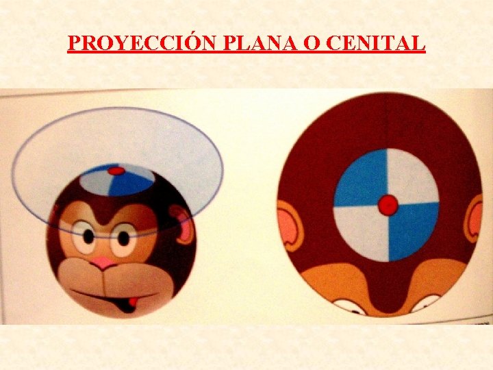 PROYECCIÓN PLANA O CENITAL PROYECCIÓN PLANA O CENITAL