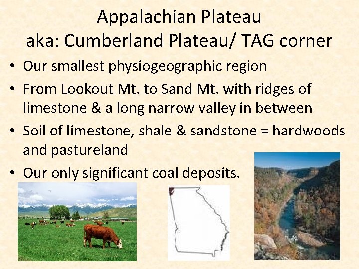 Appalachian Plateau aka: Cumberland Plateau/ TAG corner • Our smallest physiogeographic region • From