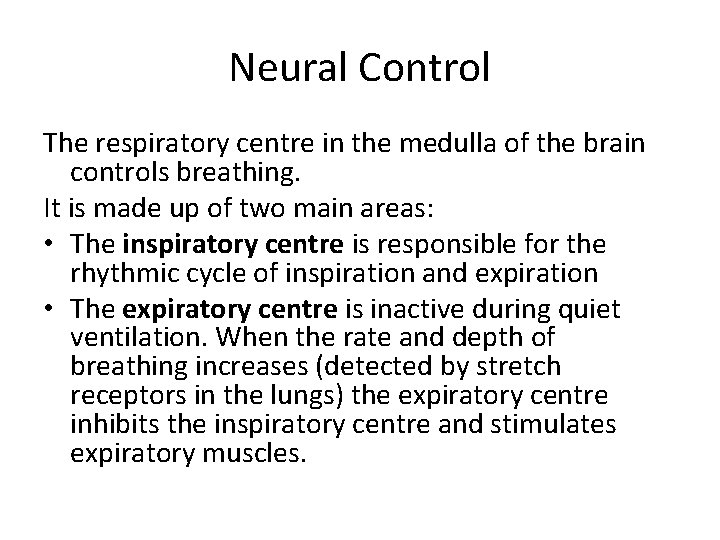 Neural Control The respiratory centre in the medulla of the brain controls breathing. It
