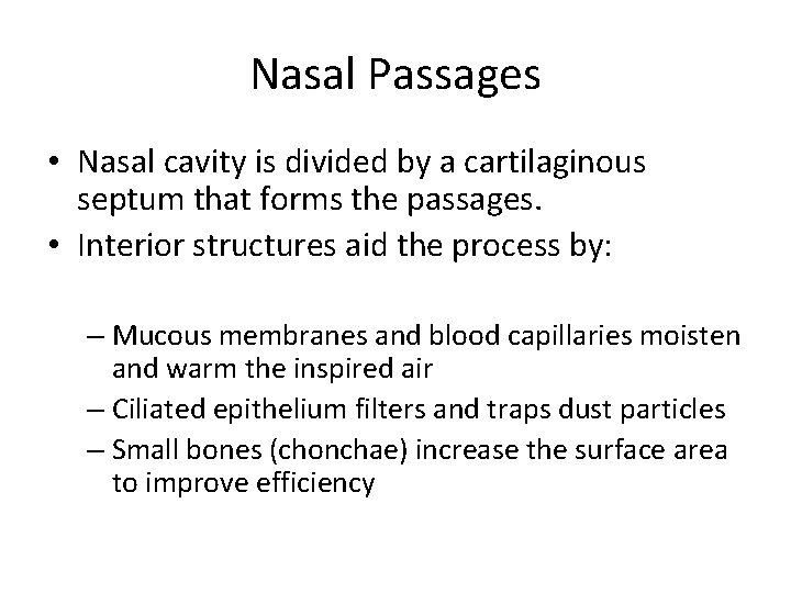 Nasal Passages • Nasal cavity is divided by a cartilaginous septum that forms the