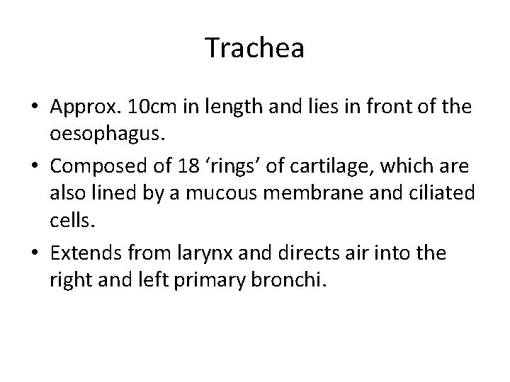 Trachea • Approx. 10 cm in length and lies in front of the oesophagus.