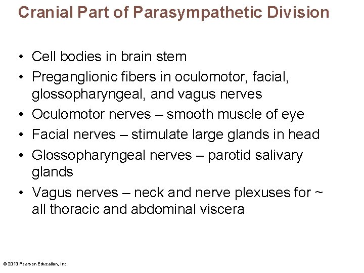 Cranial Part of Parasympathetic Division • Cell bodies in brain stem • Preganglionic fibers