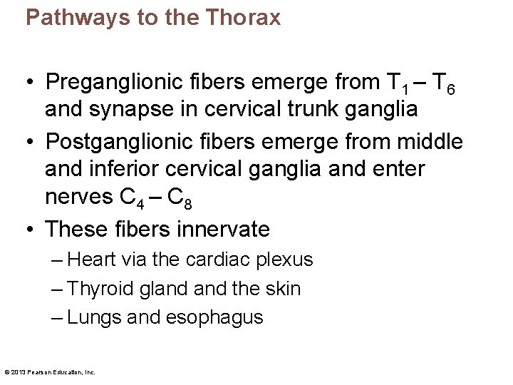 Pathways to the Thorax • Preganglionic fibers emerge from T 1 – T 6