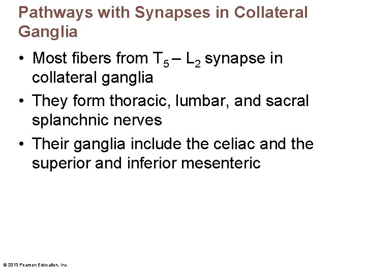 Pathways with Synapses in Collateral Ganglia • Most fibers from T 5 – L