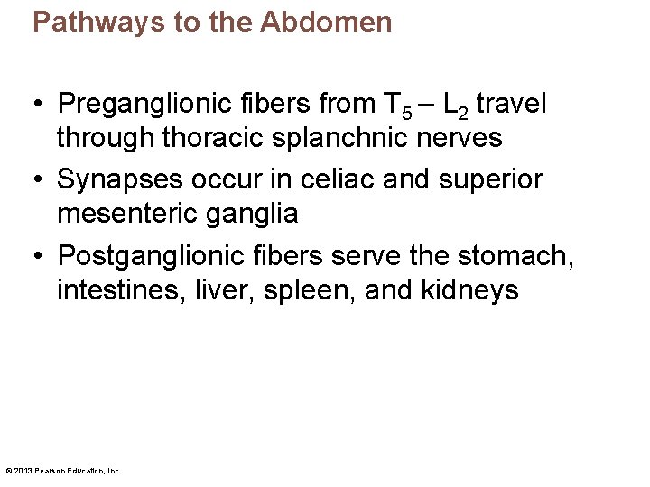 Pathways to the Abdomen • Preganglionic fibers from T 5 – L 2 travel