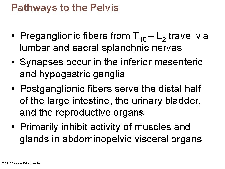 Pathways to the Pelvis • Preganglionic fibers from T 10 – L 2 travel