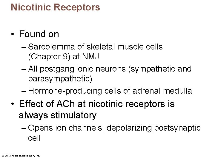 Nicotinic Receptors • Found on – Sarcolemma of skeletal muscle cells (Chapter 9) at