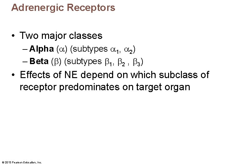 Adrenergic Receptors • Two major classes – Alpha ( ) (subtypes 1, 2) –