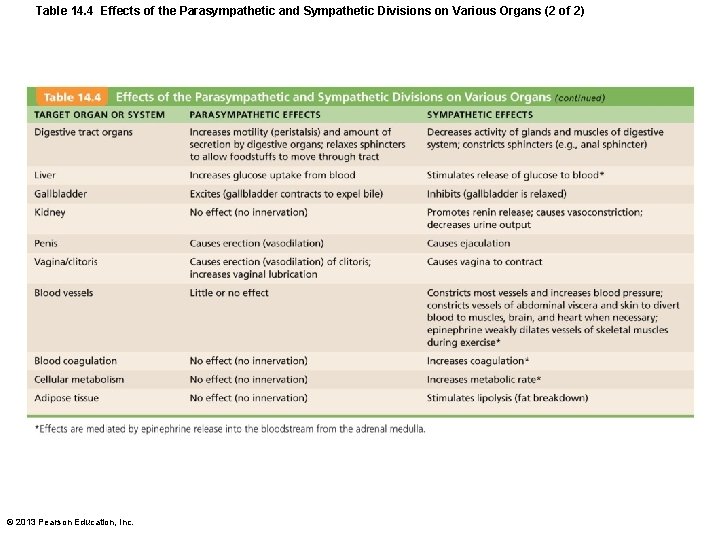Table 14. 4 Effects of the Parasympathetic and Sympathetic Divisions on Various Organs (2