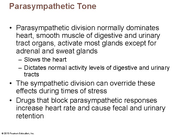 Parasympathetic Tone • Parasympathetic division normally dominates heart, smooth muscle of digestive and urinary