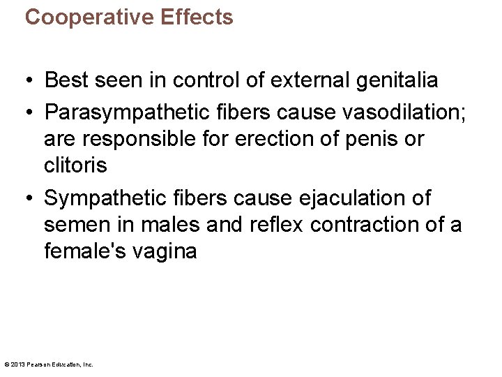 Cooperative Effects • Best seen in control of external genitalia • Parasympathetic fibers cause