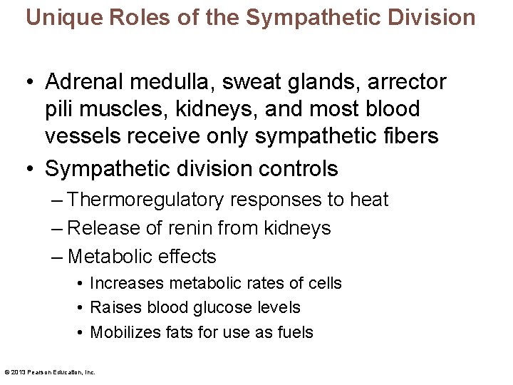 Unique Roles of the Sympathetic Division • Adrenal medulla, sweat glands, arrector pili muscles,