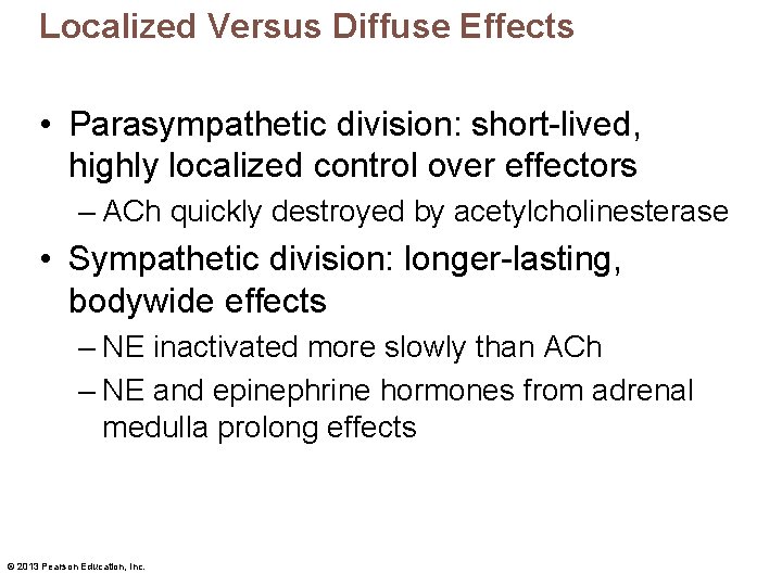 Localized Versus Diffuse Effects • Parasympathetic division: short-lived, highly localized control over effectors –