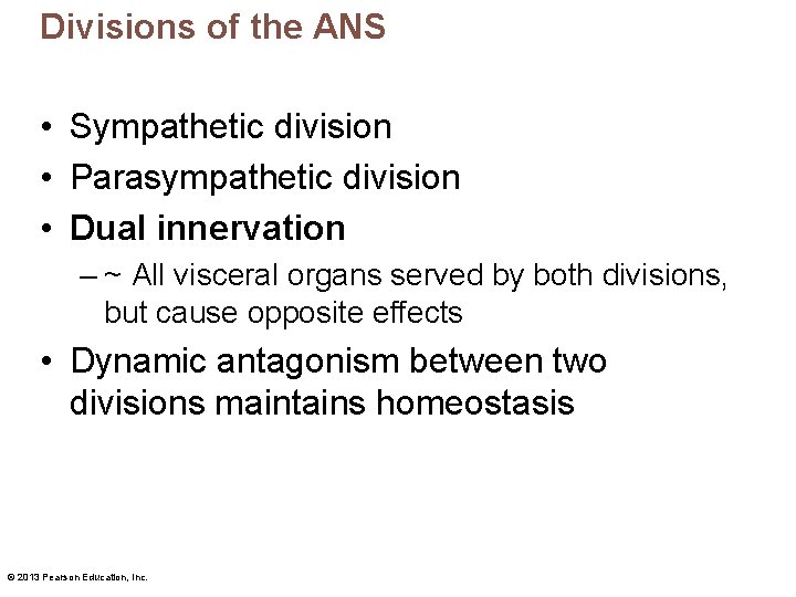 Divisions of the ANS • Sympathetic division • Parasympathetic division • Dual innervation –