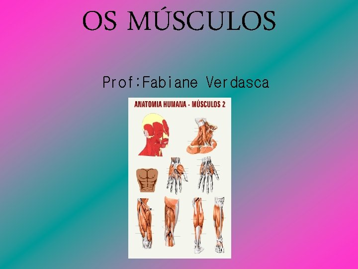 OS MÚSCULOS Prof: Fabiane Verdasca 