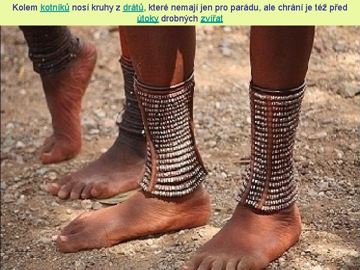 Tribe himba pro