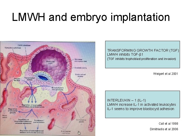 LMWH and embryo implantation TRANSFORMING GROWTH FACTOR (TGF) LMWH inhibits TGF-β 1 (TGF inhibits