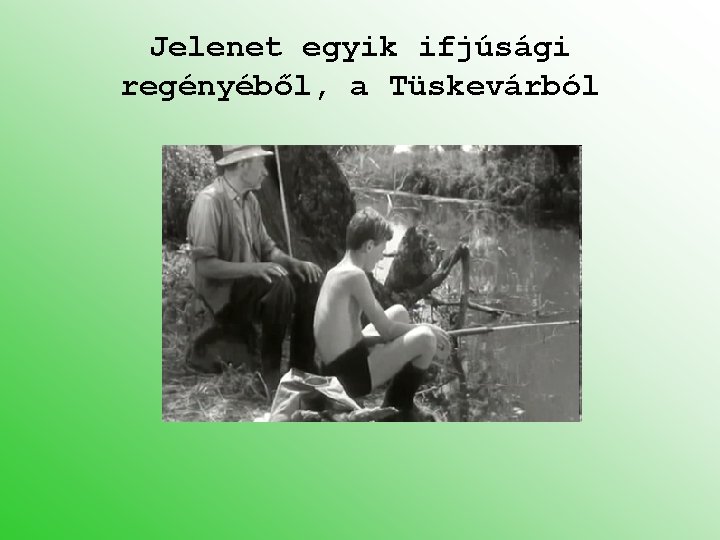 Jelenet egyik ifjúsági regényéből, a Tüskevárból 