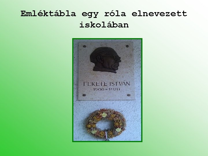 Emléktábla egy róla elnevezett iskolában 
